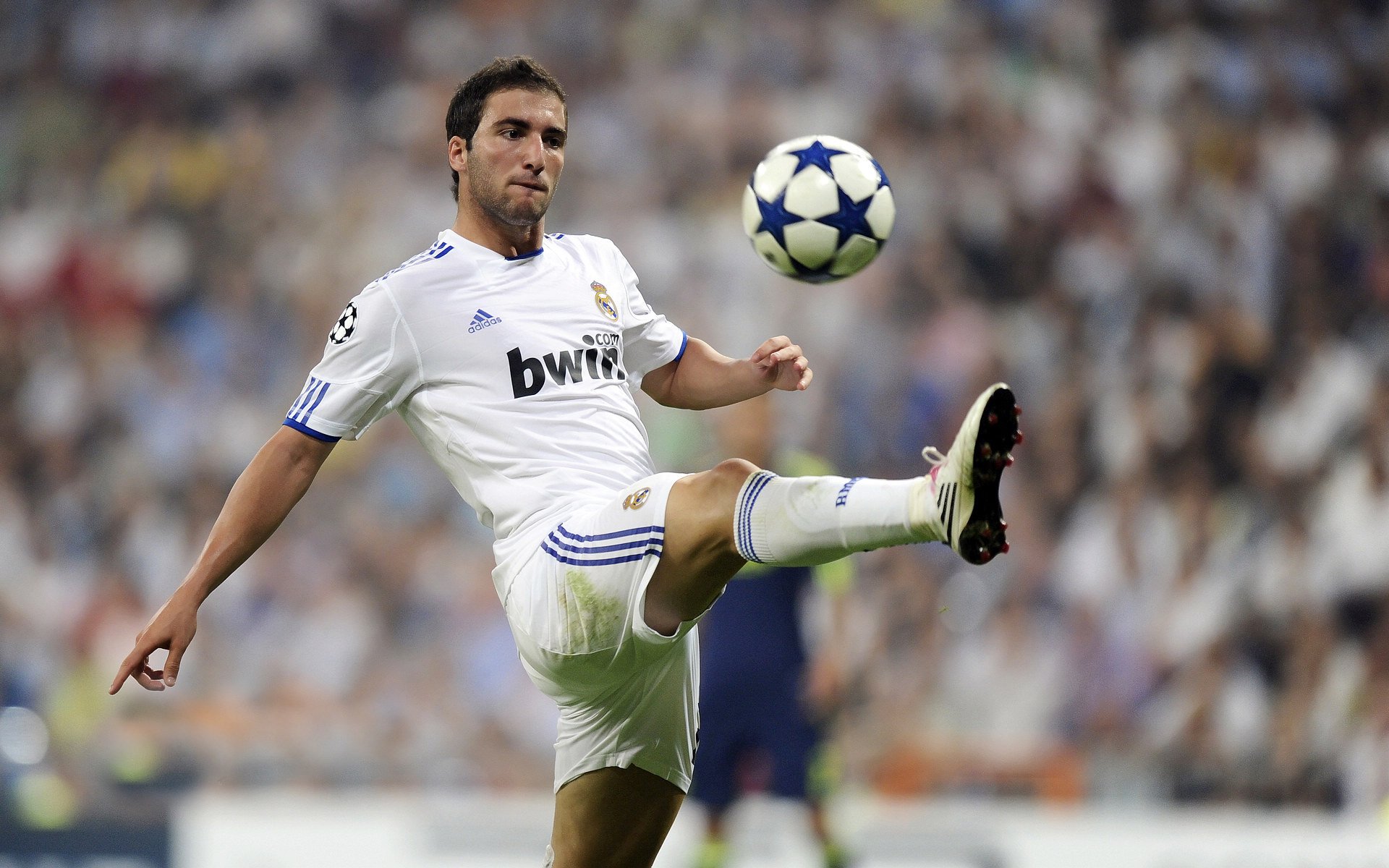 “尼古拉斯·桑特基的技巧与创造力，帮助美洲狮队走向橄榄球巅峰”